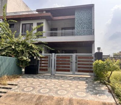 658352593M-1766929288493